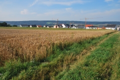 Feld-zwischen-Stadion-und-Waldenbuch
