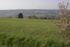 Blick vom Hasenhof über das Aichtal